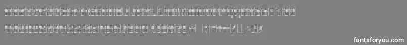 Pointersistersseparated Font – White Fonts on Gray Background