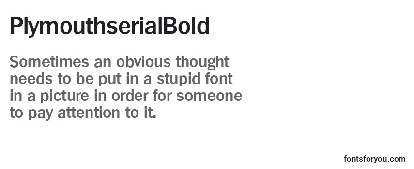 PlymouthserialBold Font