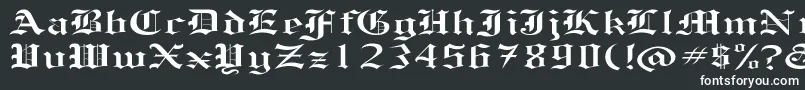 HelenaEx Font – White Fonts