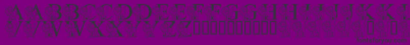 LmsLIsForLion Font – Black Fonts on Purple Background