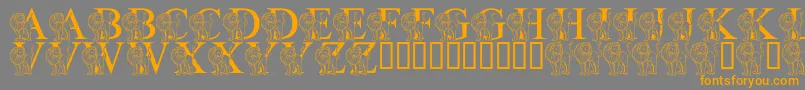 LmsLIsForLion Font – Orange Fonts on Gray Background