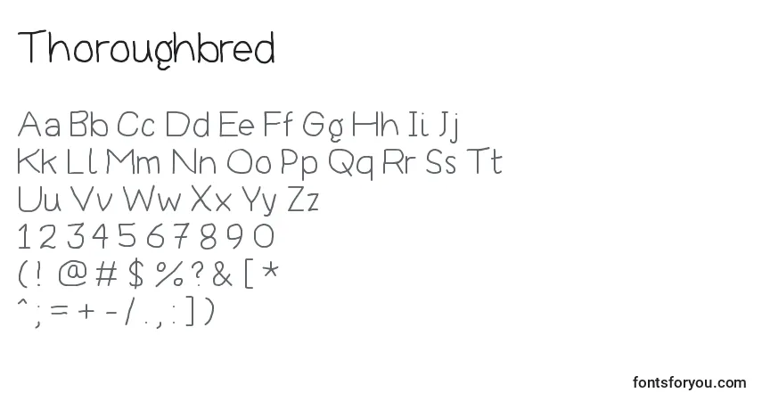 Czcionka Thoroughbred – alfabet, cyfry, specjalne znaki