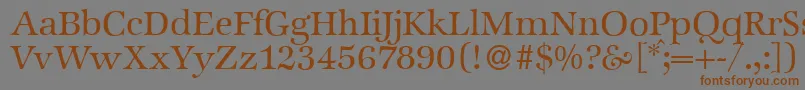 ZabriskieinternationalRegular Font – Brown Fonts on Gray Background