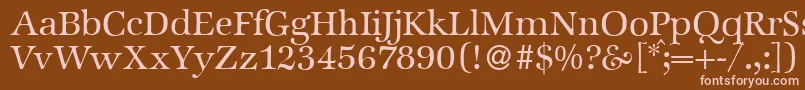 ZabriskieinternationalRegular Font – Pink Fonts on Brown Background