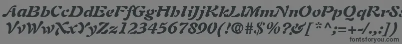 Czcionka AuriolLtBlackItalic – czarne czcionki na szarym tle