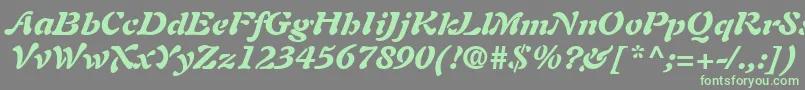 AuriolLtBlackItalicフォントについての詳細 フォントAuriolLtBlackItalic – 灰色の背景に緑のフォント
