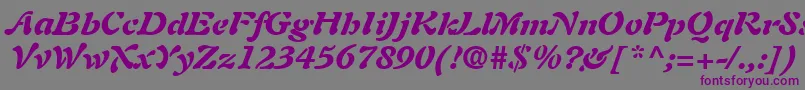 フォントAuriolLtBlackItalic – 紫色のフォント、灰色の背景