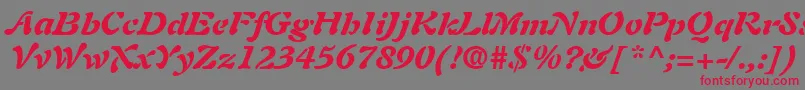 AuriolLtBlackItalic Font – Red Fonts on Gray Background