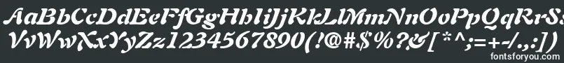 フォントAuriolLtBlackItalic – 黒い背景に白い文字