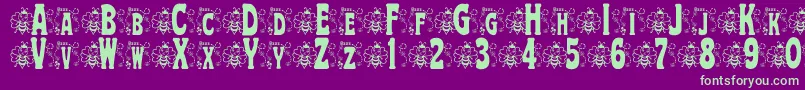 BjfHunnybee Font – Green Fonts on Purple Background