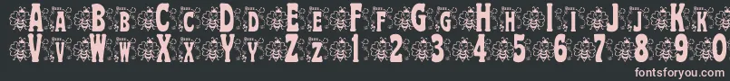 BjfHunnybee Font – Pink Fonts on Black Background