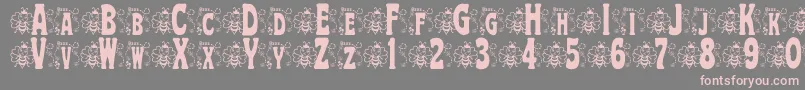 BjfHunnybee Font – Pink Fonts on Gray Background