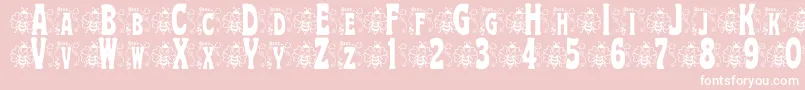 BjfHunnybee Font – White Fonts on Pink Background