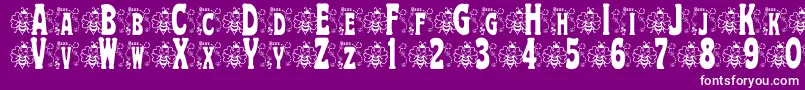 BjfHunnybee Font – White Fonts on Purple Background