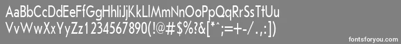 フォントJournalSansserifPlain.001.00170h – 灰色の背景に白い文字