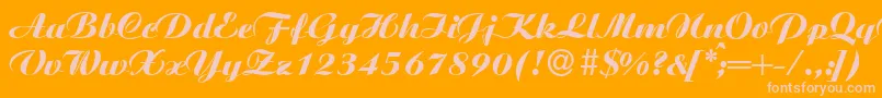 AgnesXboldRegular Font – Pink Fonts on Orange Background