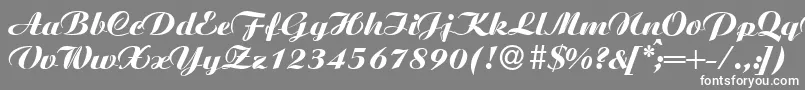 AgnesXboldRegular-Schriftart – Weiße Schriften auf grauem Hintergrund