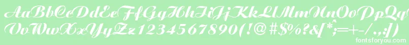 AgnesXboldRegular Font – White Fonts on Green Background