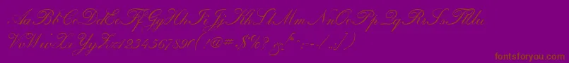 fuente CalligraphiaOne – Fuentes Marrones Sobre Fondo Morado