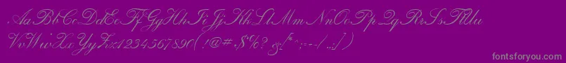 CalligraphiaOne-Schriftart – Graue Schriften auf violettem Hintergrund