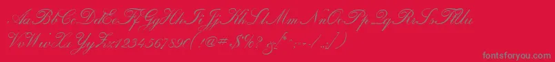 Подробнее о шрифте CalligraphiaOne Шрифт CalligraphiaOne – серые шрифты на красном фоне