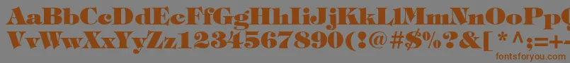ItcTiffanyLtHeavy Font – Brown Fonts on Gray Background
