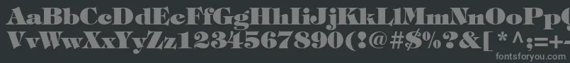 フォントItcTiffanyLtHeavy – 黒い背景に灰色の文字