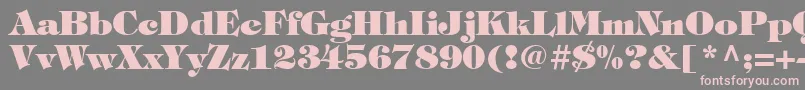 ItcTiffanyLtHeavy Font – Pink Fonts on Gray Background