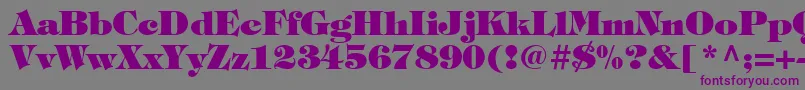 ItcTiffanyLtHeavy-Schriftart – Violette Schriften auf grauem Hintergrund