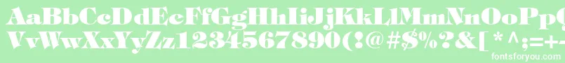 ItcTiffanyLtHeavy Font – White Fonts on Green Background