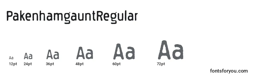 Размеры шрифта PakenhamgauntRegular