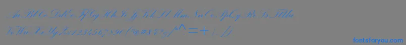 フォントPalacescriptmtstd – 灰色の背景に青い文字