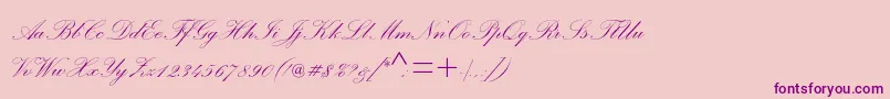 Palacescriptmtstd Font – Purple Fonts on Pink Background