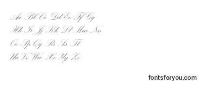 Palacescriptmtstd Font