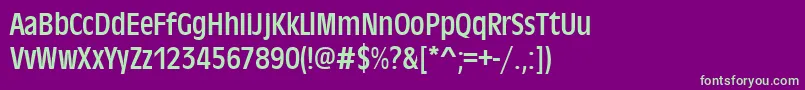 Antiqueolitcon Font – Green Fonts on Purple Background