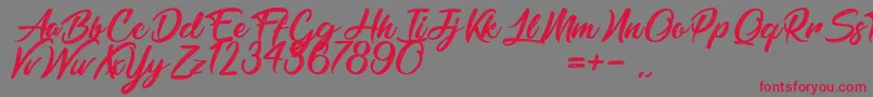 BarbershopInThailand Font – Red Fonts on Gray Background