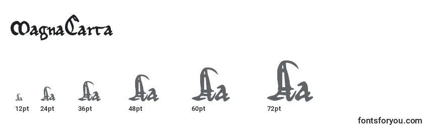 MagnaCarta Font Sizes