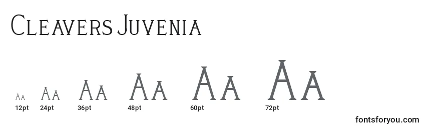 Größen der Schriftart CleaversJuvenia