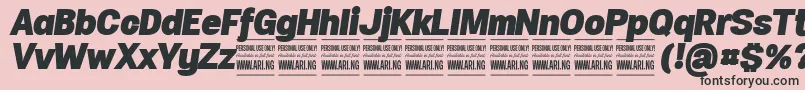 SpecifypersonalNormblackitalic Font – Black Fonts on Pink Background