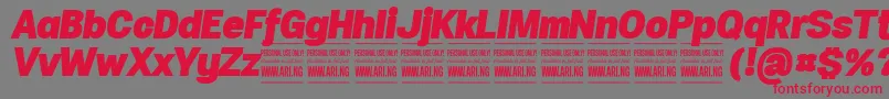 SpecifypersonalNormblackitalic Font – Red Fonts on Gray Background