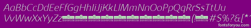 KabrioAbarthExtralightItalicTrial Font – Green Fonts on Purple Background