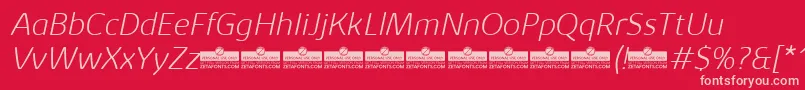 KabrioAbarthExtralightItalicTrial Font – Pink Fonts on Red Background