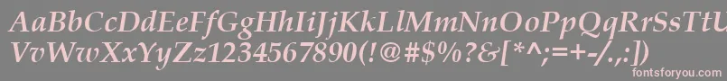 BookAntiquaРџРѕР»СѓР¶РёСЂРЅС‹Р№РљСѓСЂСЃРёРІ Font – Pink Fonts on Gray Background