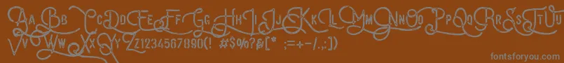 VulturemotorDemo Font – Gray Fonts on Brown Background
