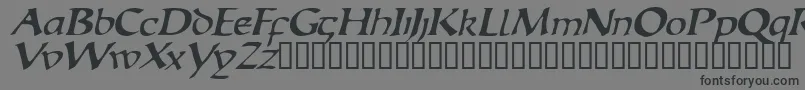 EscudedisplaysskItalic Font – Black Fonts on Gray Background