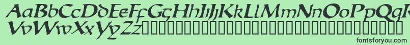 EscudedisplaysskItalic Font – Black Fonts on Green Background