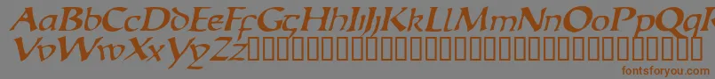 EscudedisplaysskItalic Font – Brown Fonts on Gray Background