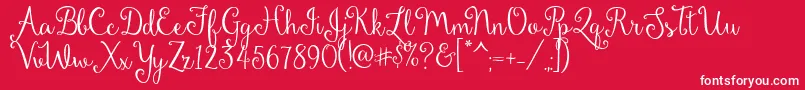 DandelionSoupDemo Font – White Fonts on Red Background