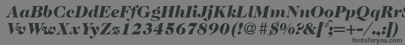 Caslon335blackRegularitalic-fontti – mustat fontit harmaalla taustalla