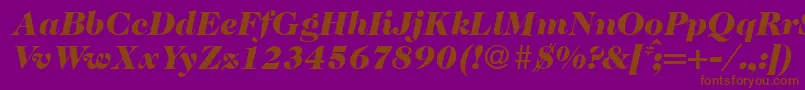 Caslon335blackRegularitalic-Schriftart – Braune Schriften auf violettem Hintergrund